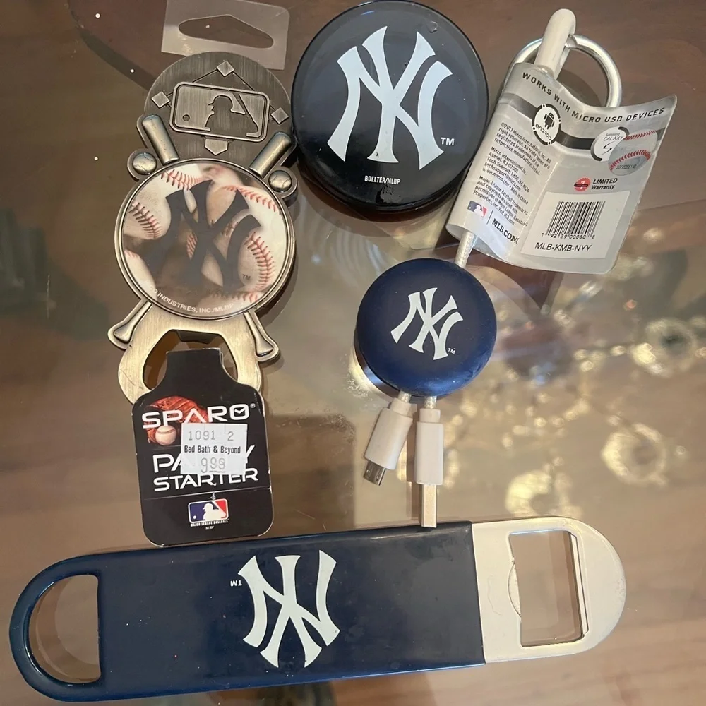 Blue and Silver Accessories Set